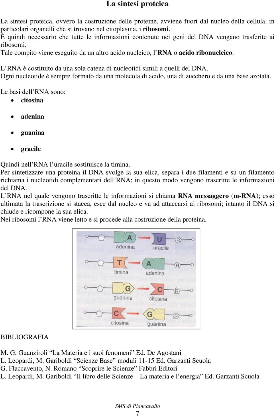 L RNA è costituito da una sola catena di nucleotidi simili a quelli del DNA. Ogni nucleotide è sempre formato da una molecola di acido, una di zucchero e da una base azotata.