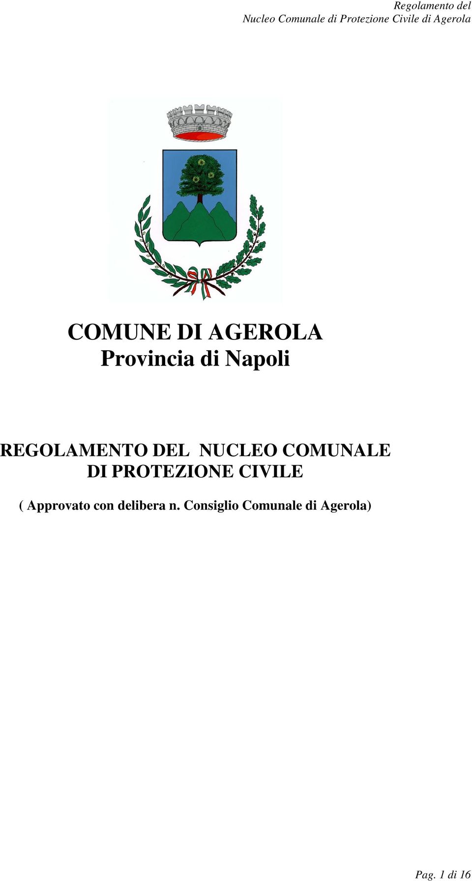 PROTEZIONE CIVILE ( Approvato con