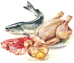 1 Fonti proteiche diversificate Sia che si tratti di carne, pesce o pollame, per le nostre ricette utilizziamo una varietà biologica di proteine animali.
