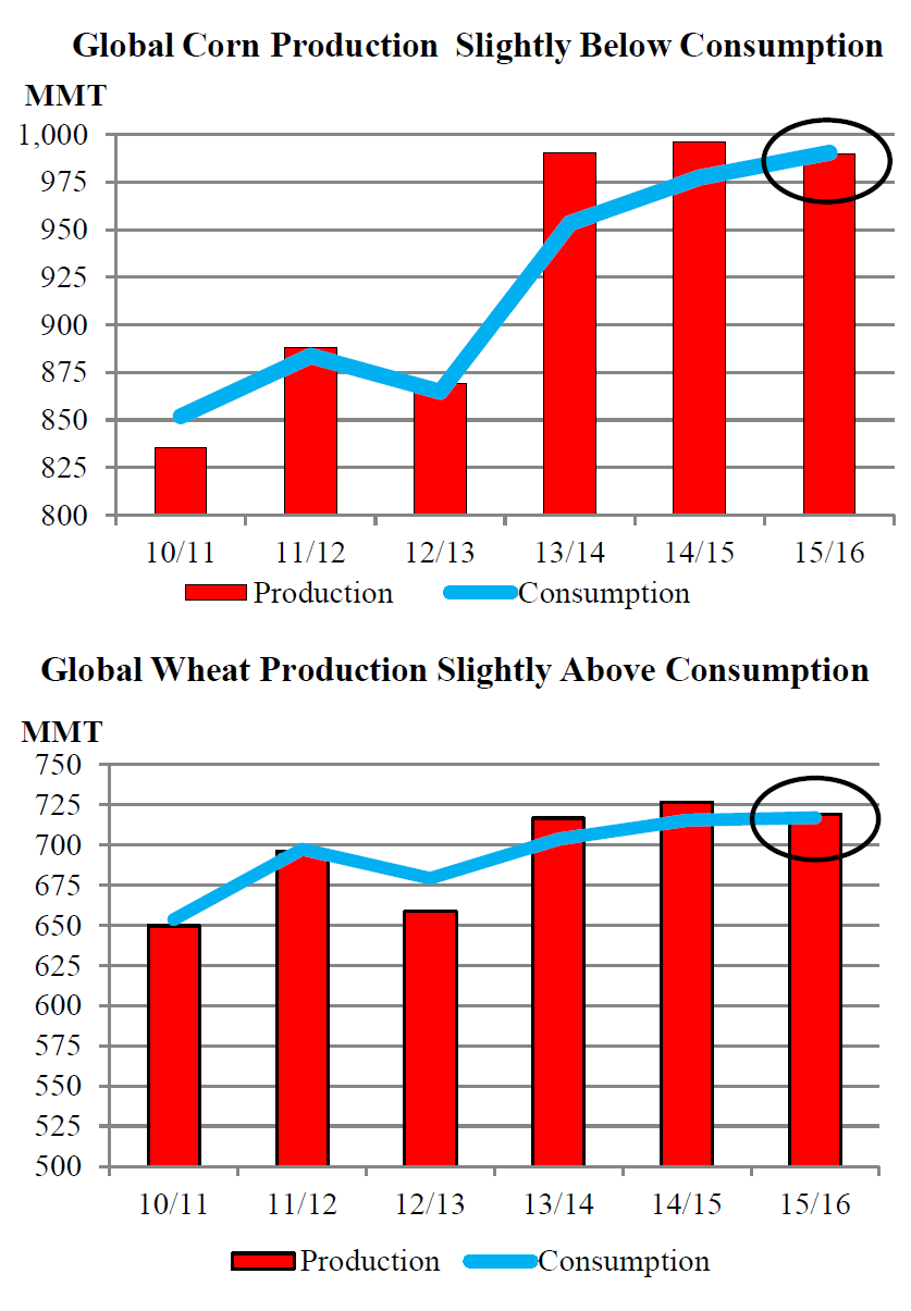 per il frumento, una produzione 2015-2016 di 718,9 milioni di tonnellate (più elevata di 14 m. tons rispetto al dato IGC), utilizzi complessivi per 713,2 milioni di tonnellate (circa 2 m.