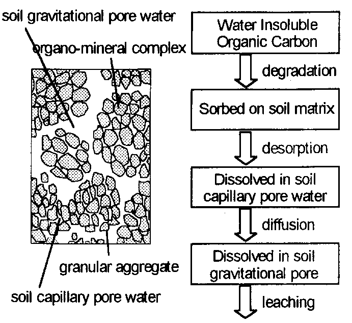Figur 1.7: complessi orgno-minerli del suolo Molecole ltmente soluili in cqu così come glucosio o mminocidi possono distriuirsi tr l form dissolt e quell ssorit del WSOC.