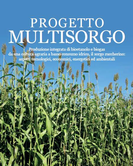 MULTISORGO Durata: 39 mesi (01/04/2010 30/06/2013) Coordinatore di progetto: dott.