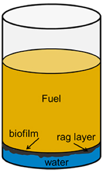 I PROBLEMI DERIVANTI DAL BIODIESEL Il biodiesel è presente, per legge, fino al 7% del gasolio attuale, rendendolo meno resistente all azione e agli