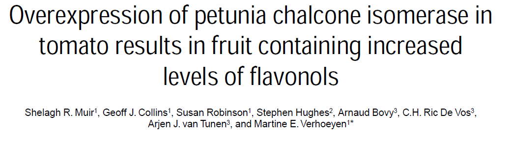 I livelli di flavonoidi possono essere aumentati aumentando l