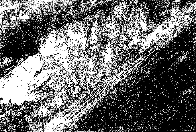 Sezione geologica da Sud a Nord attraverso la zona della frana del 9 Ottobre 1963 con i profili dei sondaggi geofisici (da E.