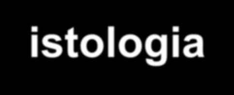 Ambiti di competenza di citologia-istologia-anatomia Organismo Apparato Organo