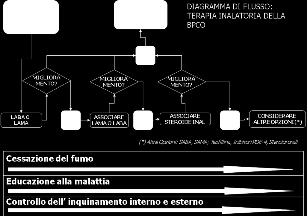 L efficacia della farmacoterapia della BPCO, come illustrato nel Diagramma di Flusso è stata dimostrata da recenti studi clinici su ampie popolazioni.