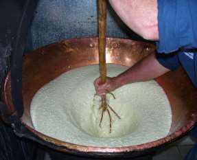 a tipicità del formaggio Zona di produzione spetti storico-sociali Caratteristiche della materia