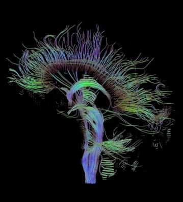 Lesion mapping methods È possibile applicare ad es.