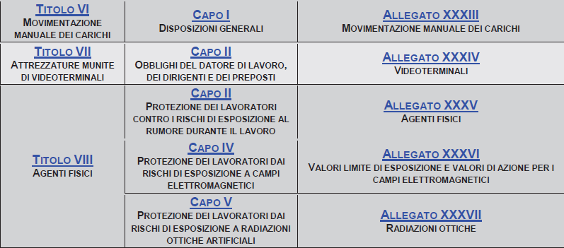 D.Lgs. 81/2008 (Attuazione dell articolo 1 della L. 3 agosto 2007, n.