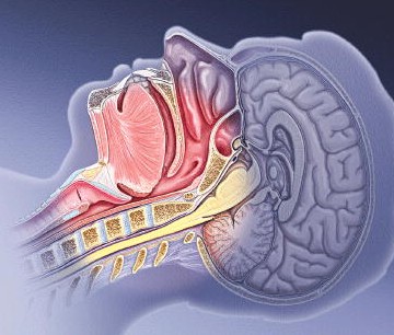 Fondazione per la Ricerca e la Cura dei Disturbi del Sonno Onlus DISTURBI RESPIRATORI