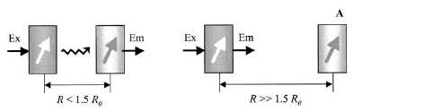 Lo spettro di assorbanza del donatore e lo spettro di eccitazione dell accettore devono essere parzialmente sovrapposti E = efficienza di trasferimento r = distanza