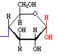Polisaccaridi Legame α(1-6) glicosidico Legame