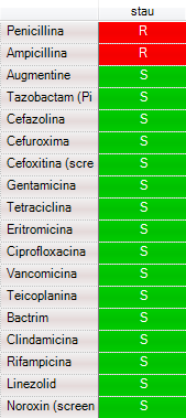 Protein) che diminuisce la sua affinità con l antibiotico e quindi l efficacia Resistenza a tutti i β-lattamici Penicillina, Ampicillina