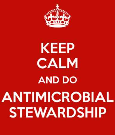 Implementazione di sistemi di sorveglianza e stewardship antibiotica Nel nostro Ospedale: SCIMMIA (Saper Come Impostare al Meglio il MIglior Antimicrobico) Progetto di