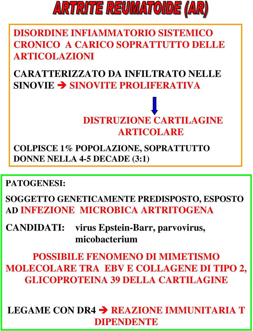 GENETICAMENTE PREDISPOSTO, ESPOSTO AD INFEZIONE MICROBICA ARTRITOGENA CANDIDATI: virus Epstein-Barr, parvovirus, micobacterium POSSIBILE