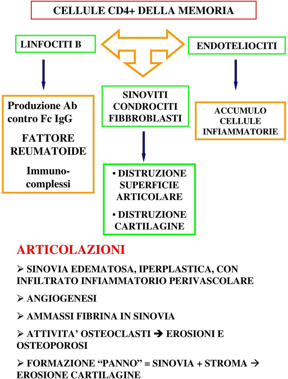 INFIAMMATORIE ARTICOLAZIONI SINOVIA EDEMATOSA, IPERPLASTICA, CON INFILTRATO INFIAMMATORIO PERIVASCOLARE ANGIOGENESI