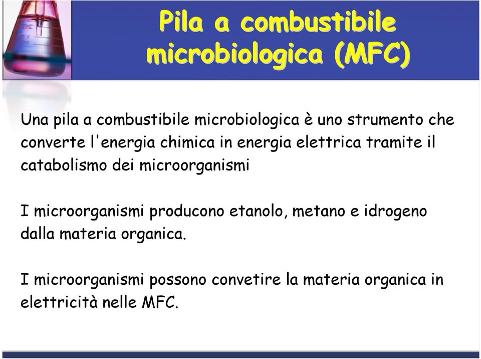 dei microorganismi I microorganismi producono etanolo, metano e idrogeno dalla materia