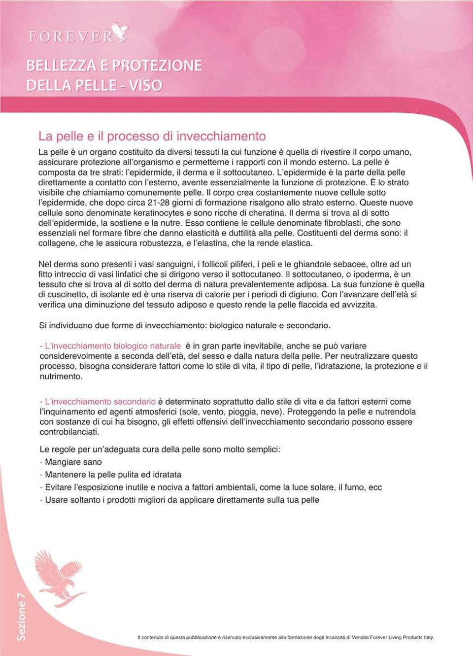 L'epidermide è la parte della pelle direttamente a contatto con l'esterno, avente essenzialmente la funzione di protezione. È lo strato visibile che chiamiamo comunemente pelle.