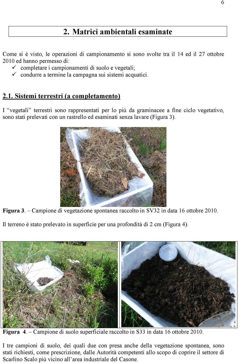 Sistemi terrestri (a completamento) I vegetali terrestri sono rappresentati per lo più da graminacee a fine ciclo vegetativo, sono stati prelevati con un rastrello ed esaminati senza lavare (Figura