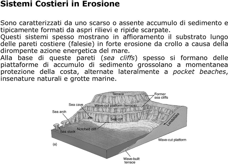 Questi sistemi spesso mostrano in affioramento il substrato lungo delle pareti costiere (falesie) in forte erosione da crollo a causa della