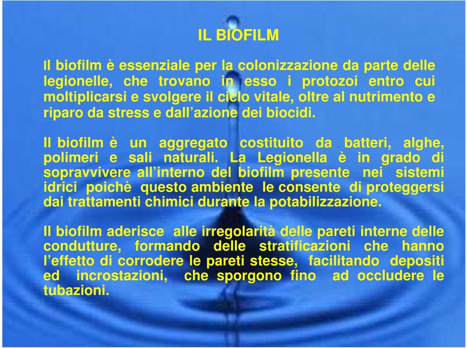 La Legionella è in grado di sopravvivere all interno del biofilm presente nei sistemi idrici poichè questo ambiente le consente di proteggersi dai trattamenti chimici durante la