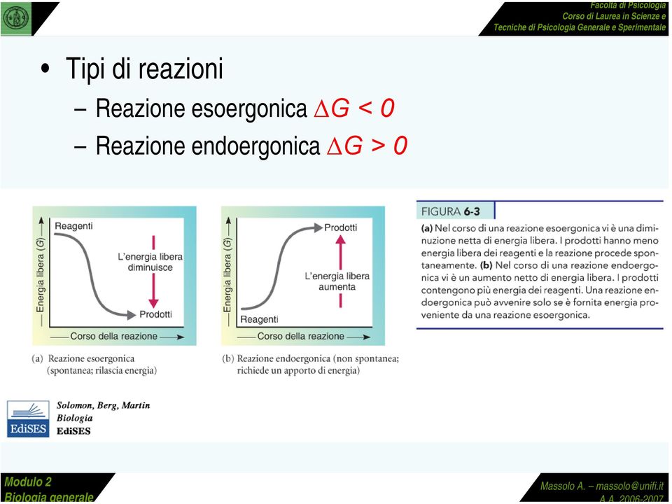 esoergonica G < 0