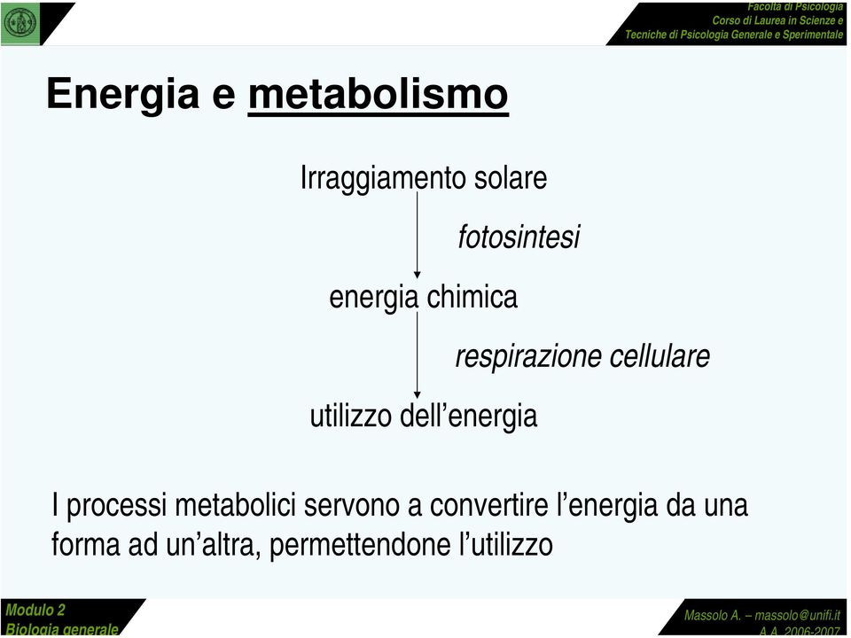 cellulare I processi metabolici servono a convertire l