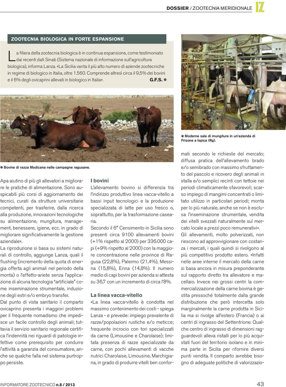 Comprende altresì circa il 9,5% dei bovini e il 6% degli ovicaprini allevati in biologico in Italia». Moderna sala di mungitura in un azienda di Frisone a Ispica (Rg).