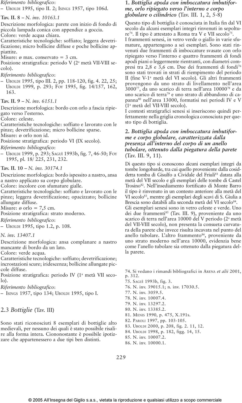 Posizione stratigrafica: periodo V (2 a metà VII-VIII secolo). UBOLDI 1995, tipo III. 2, pp. 118-120, fig. 4. 22, 25; UBOLDI 1999, p. 293; FOY 1995, fig. 14/157, 162, 163. Tav. II. 9 N. inv. 6151.