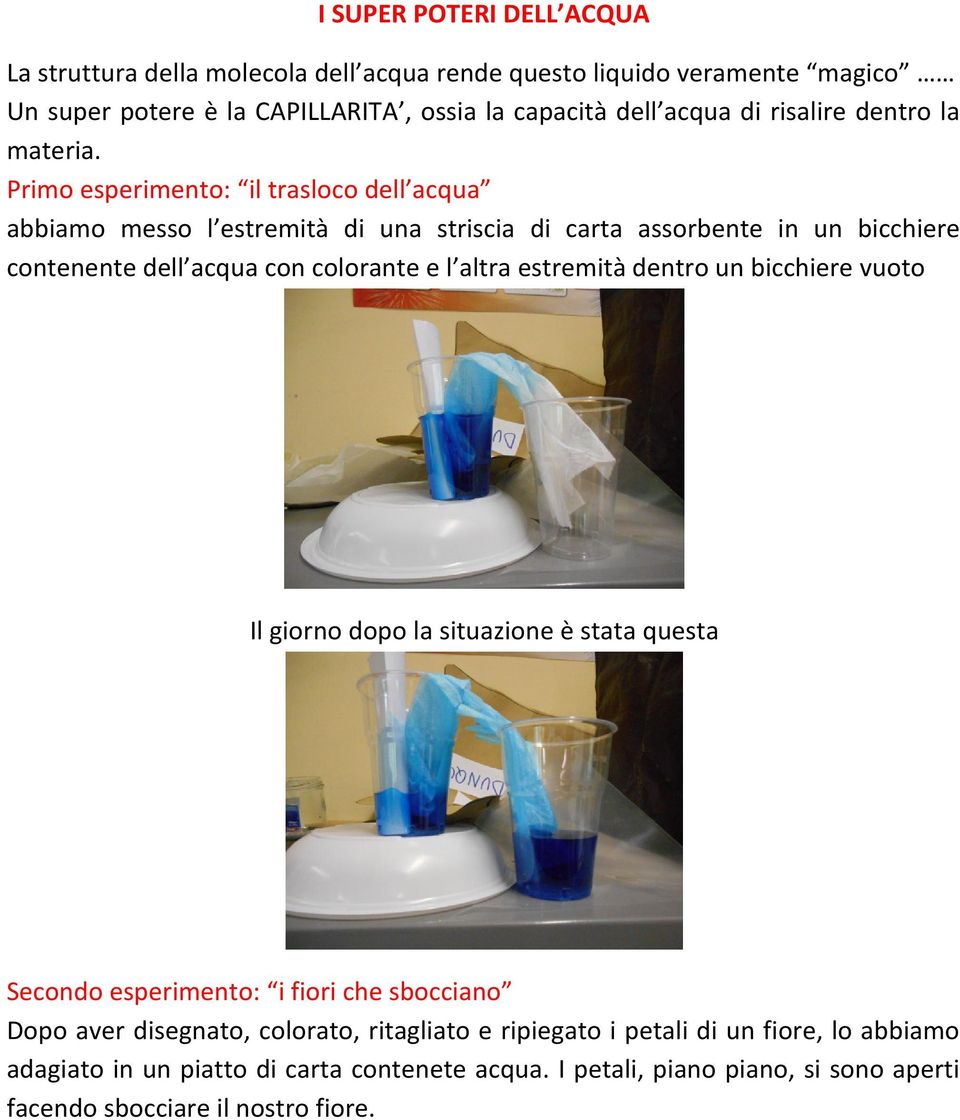 Primo esperimento: il trasloco dell acqua abbiamo messo l estremità di una striscia di carta assorbente in un bicchiere contenente dell acqua con colorante e l altra