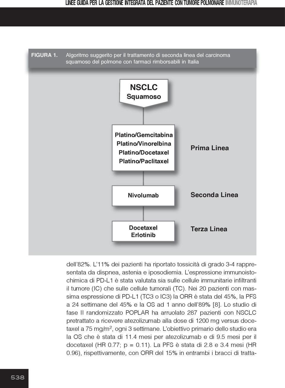 Platino/Paclitaxel Prima Linea Nivolumab Seconda Linea Docetaxel Erlotinib Terza Linea dell 82%. L 11% dei pazienti ha riportato tossicità di grado 3-4 rappresentata da dispnea, astenia e iposodiemia.