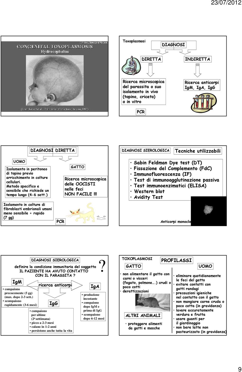 ) Isolamento in colture di fibroblasti embrionali umani meno sensibile + rapido (7 gg) PCR GATTO Ricerca microscopica delle OOCISTI nelle feci NON FACILE!