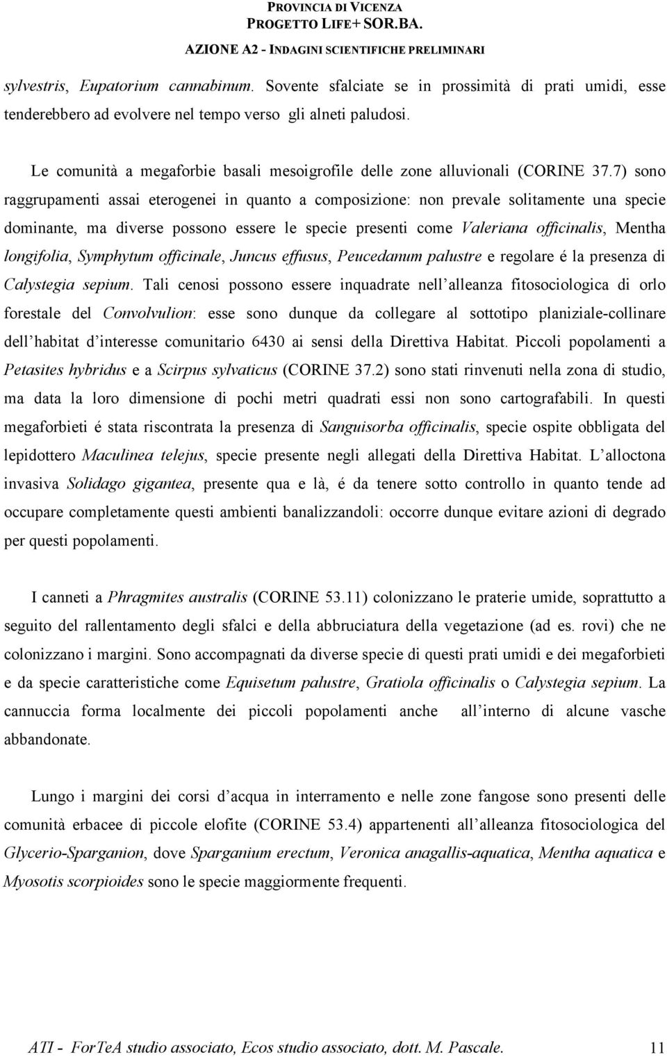 7) sono raggrupamenti assai eterogenei in quanto a composizione: non prevale solitamente una specie dominante, ma diverse possono essere le specie presenti come Valeriana officinalis, Mentha