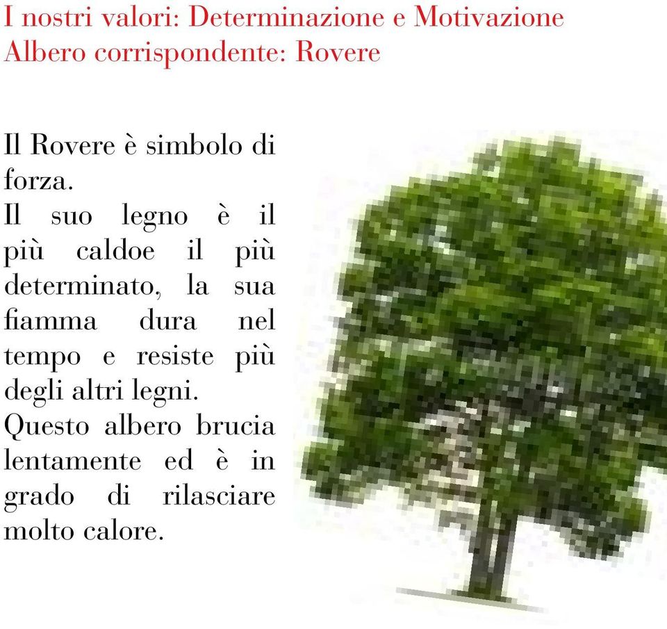 Il suo legno è il più caldoe il più determinato, la sua fiamma dura nel