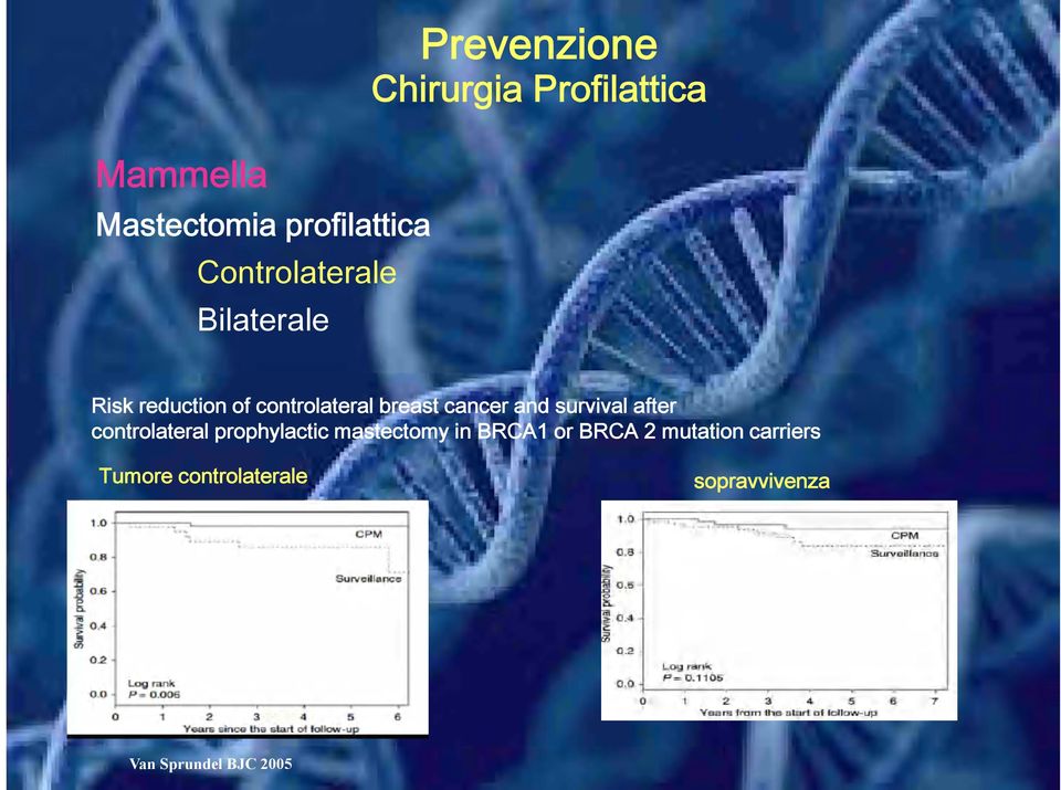 survival after controlateral prophylactic mastectomy in BRCA1 or BRCA 2