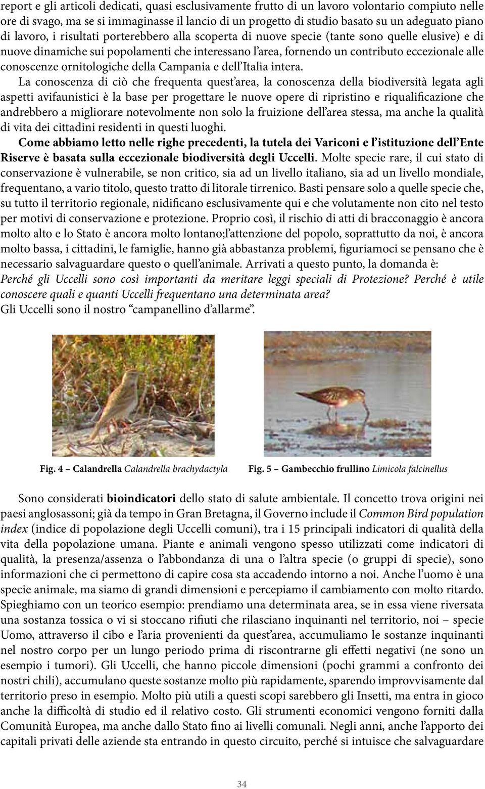 conoscenze ornitologiche della Campania e dell Italia intera.