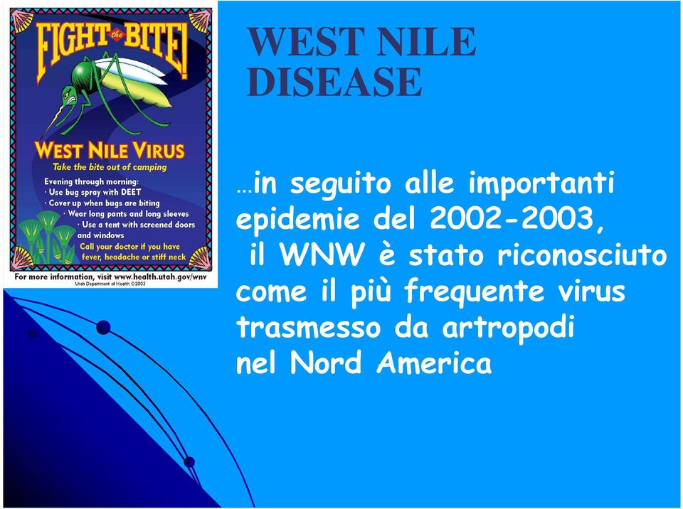 WNW è stato riconosciuto come il più