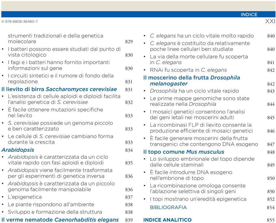 genetica di S. cerevisiae 832 È facile ottenere mutazioni specifiche nel lievito 833 S. cerevisiae possiede un genoma piccolo e ben caratterizzato 833 Le cellule di S.