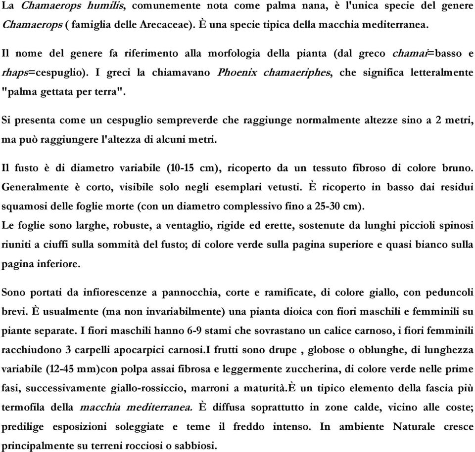 I greci la chiamavano Phoenix chamaeriphes, che significa letteralmente "palma gettata per terra".