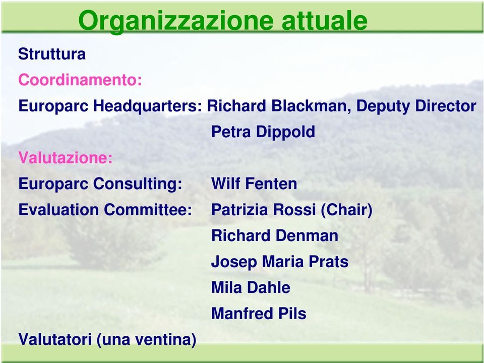 Consulting: Wilf Fenten Evaluation Committee: Patrizia Rossi (Chair)