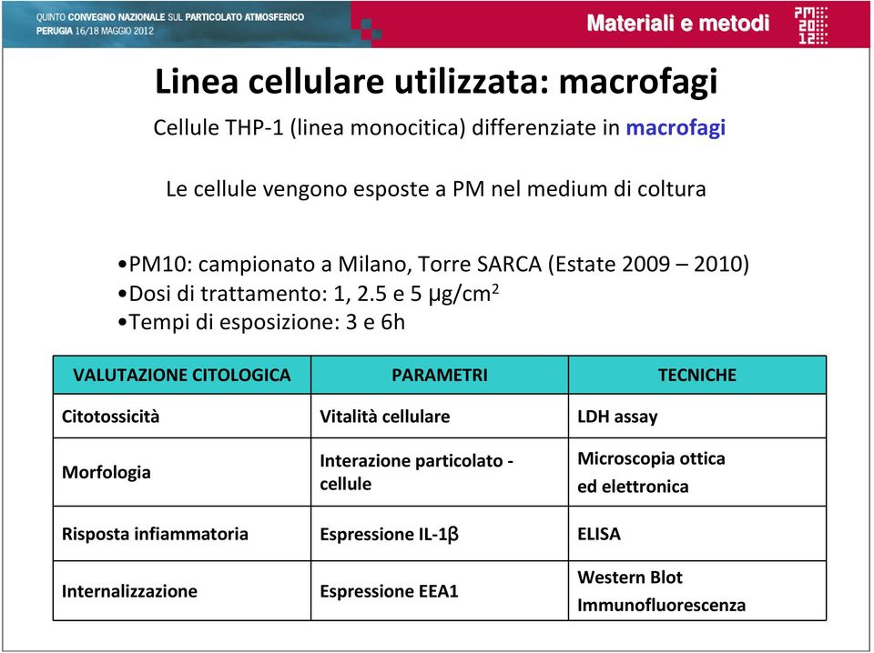 5 e 5 μg/cm 2 Tempi di esposizione: 3 e 6h VALUTAZIONE CITOLOGICA PARAMETRI TECNICHE Citotossicità Vitalità cellulare LDH assay Morfologia