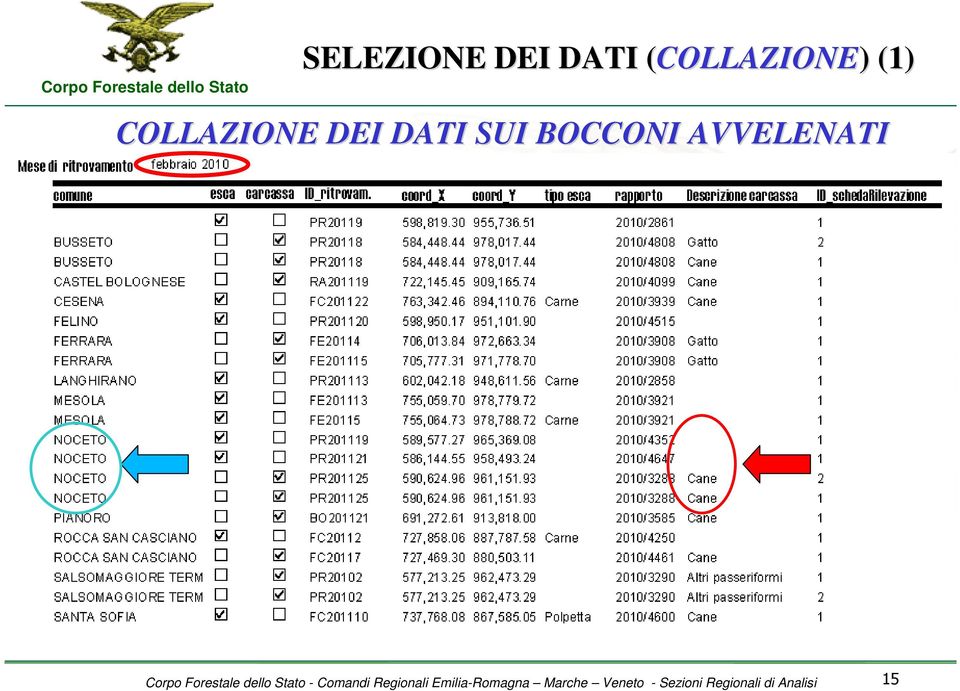 AVVELENATI - Comandi Regionali