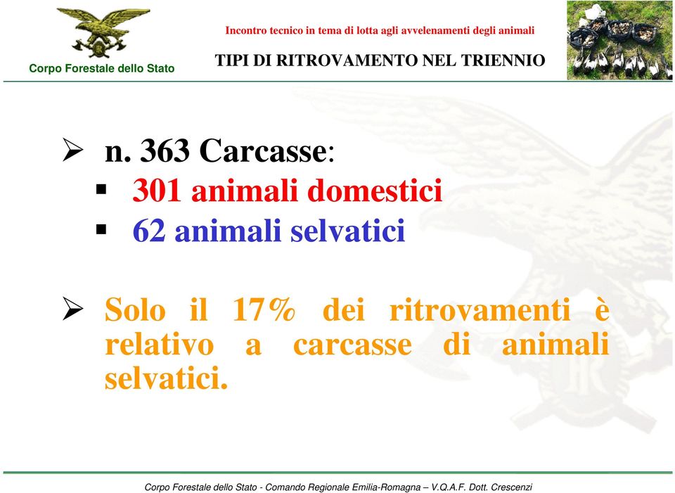 animali selvatici Solo il 17% dei