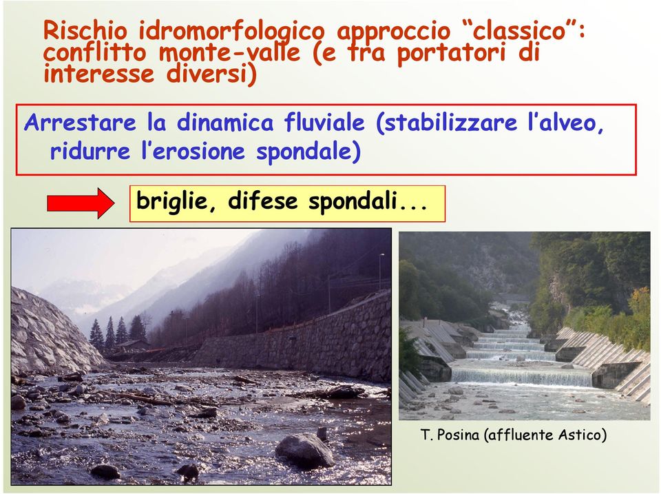 la dinamica fluviale (stabilizzare l alveo, ridurre l