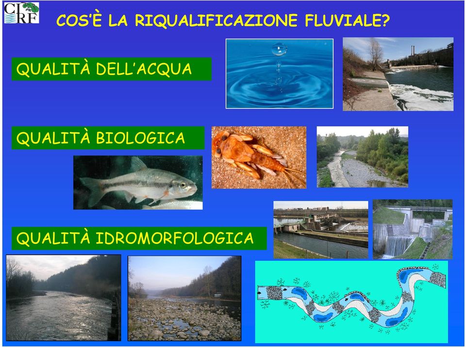 FLUVIALE?