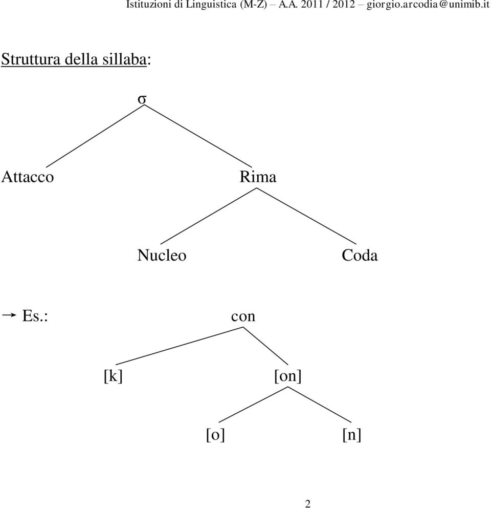 Rima Nucleo Coda Es.