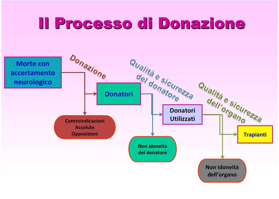 Controindicazioni Assolute Opposizioni