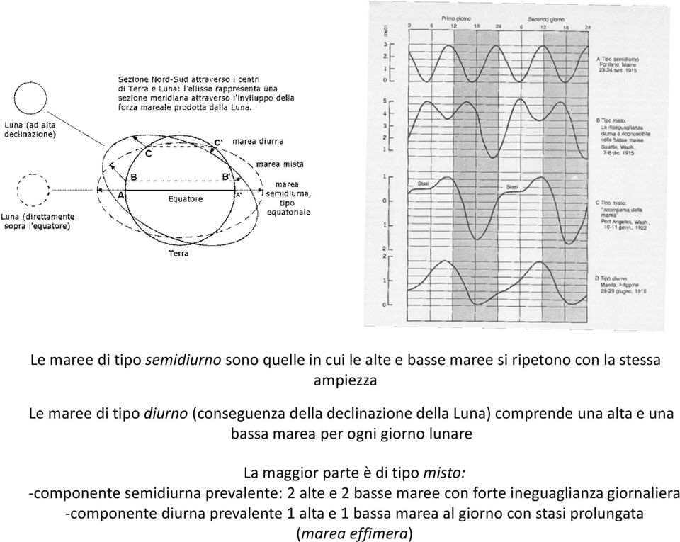 lunare La maggior parte è di tipo misto: componente semidiurna prevalente: 2 alte e 2 basse maree con forte