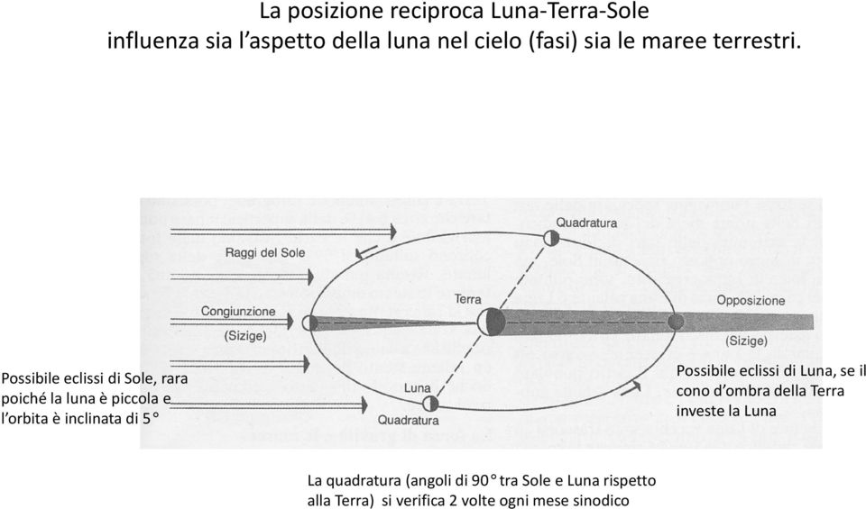 Possibile eclissi di Sole, rara poiché la luna è piccola e l orbita è inclinata di 5 Possibile